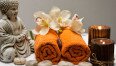 Special Spring Wellness Offer