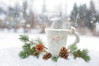 Waiting for winter and advent season at Lake Balaton