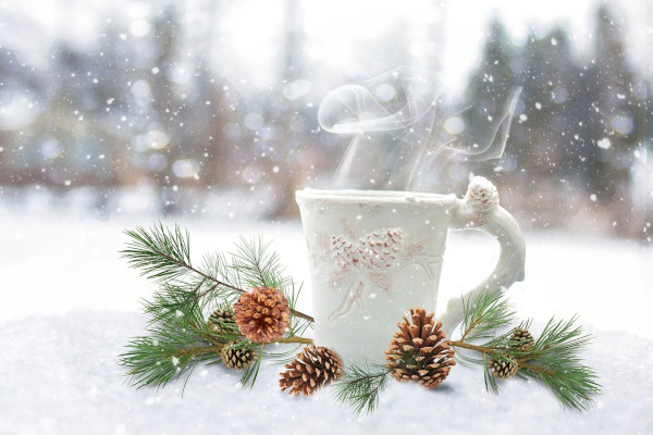 Winter Wellness Wochenende und Adventzeit am Plattensee